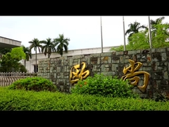 बेस्टा कंपनी प्रोफ़ाइल